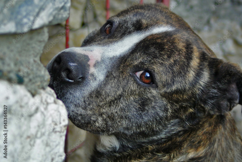 500px Photo ID: 204095041