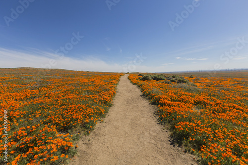 Dirt path at the Antelope V...
