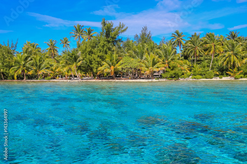 Tropical beach with palm trees and blue lagoon on sunny day. Bora Bora, French Polynesia. © Guilherme
