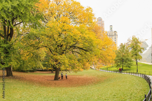 Fototapeta Couple and dog at Central Park, New York