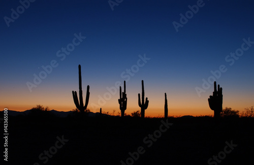 Desert sunset colection