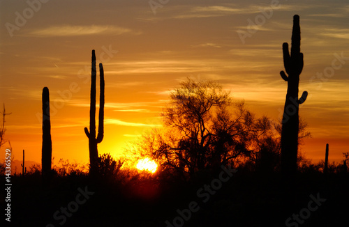 Desert sunset colection © dan