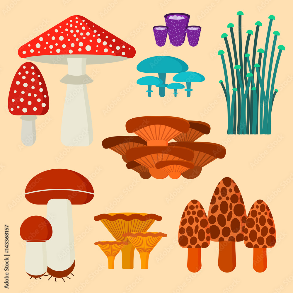 Mushrooms for cook food and poisonous nature meal vegetarian healthy autumn edible and fungus organic vegetable raw ingredient vector illustration. Mushrooms for cook food and poisonous nature meal vegetarian healthy autumn edible and fungus organic vegetable raw ingredient vector illustration.