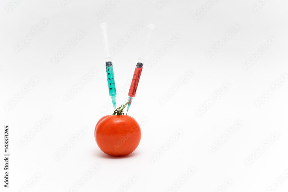 GMO concept on white background with syringes and tomato. GMO concept on white background with syringes and tomato.