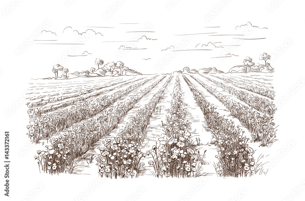 Naklejka premium vector hand drawn village houses sketch and nature Hand drawn Illustration.