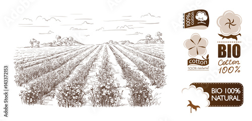 vector hand drawn village houses sketch and nature Hand drawn Illustration.