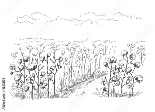 vector hand drawn village houses sketch and nature Hand drawn Illustration.