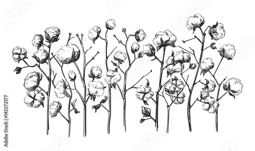 vector hand drawn village houses sketch and nature Hand drawn Illustration.