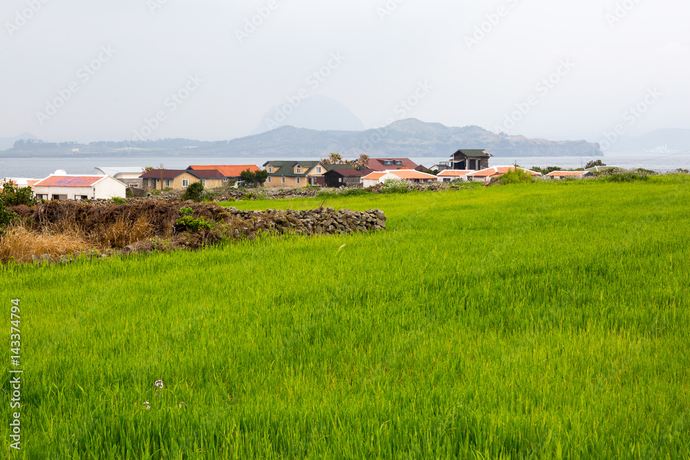 Green field house with a view