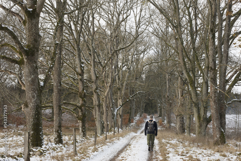 Sweden, Skane, Christinehof, Rear view of man walking down snowy path Sweden, Skane, Christinehof, Rear view of man walking down snowy path