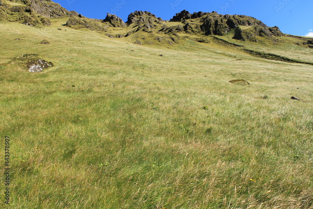 Obraz premium ヴィークの丘にて