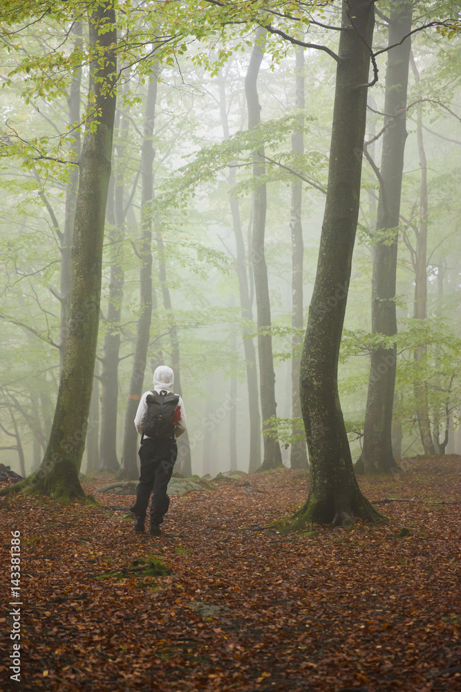 Sweden, Skane, Soderasen, Rear view of woman in foggy forest Sweden, Skane, Soderasen, Rear view of woman in foggy forest
