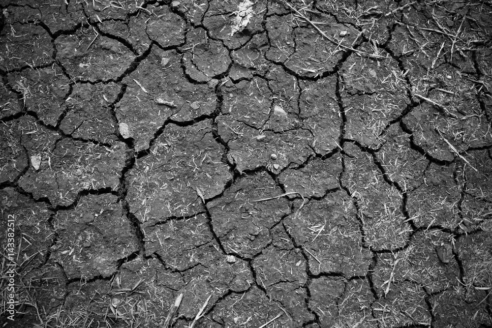Crack soil on dry season, Global worming effect. Crack soil on dry season, Global worming effect.