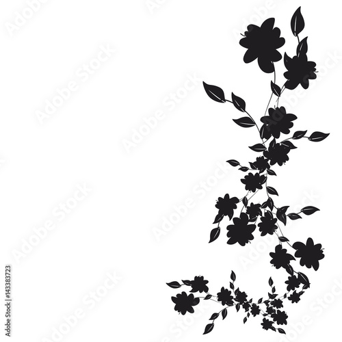 beautiful flowers