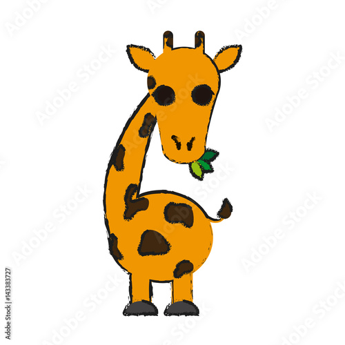 giraffe animal cartoon icon over white background. vector illustration