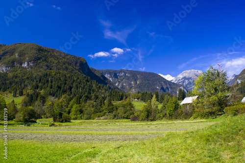 Julian Alps - panorama around lake Bled, Slovenia