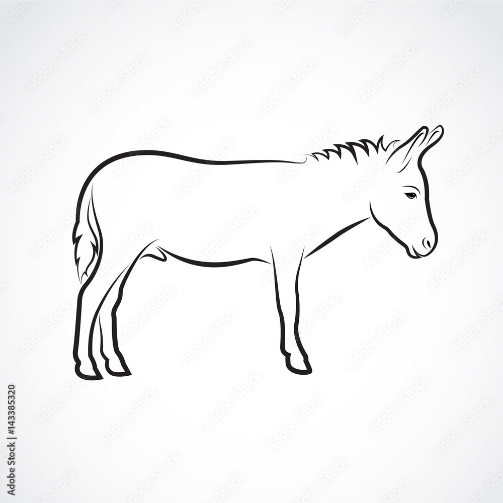 Vector of a donkey on white background. Wild Animals.