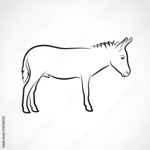 Vector of a donkey on white background. Wild Animals.