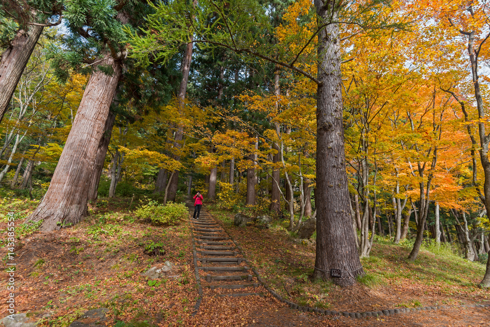 Autumn color season around Josen-ji temple, Aomori, Japan.