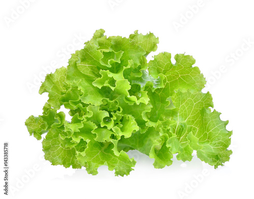 fresh green lettuce salad leaves isolated on white background.