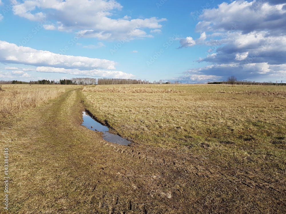 Fototapeta premium Droga w polu