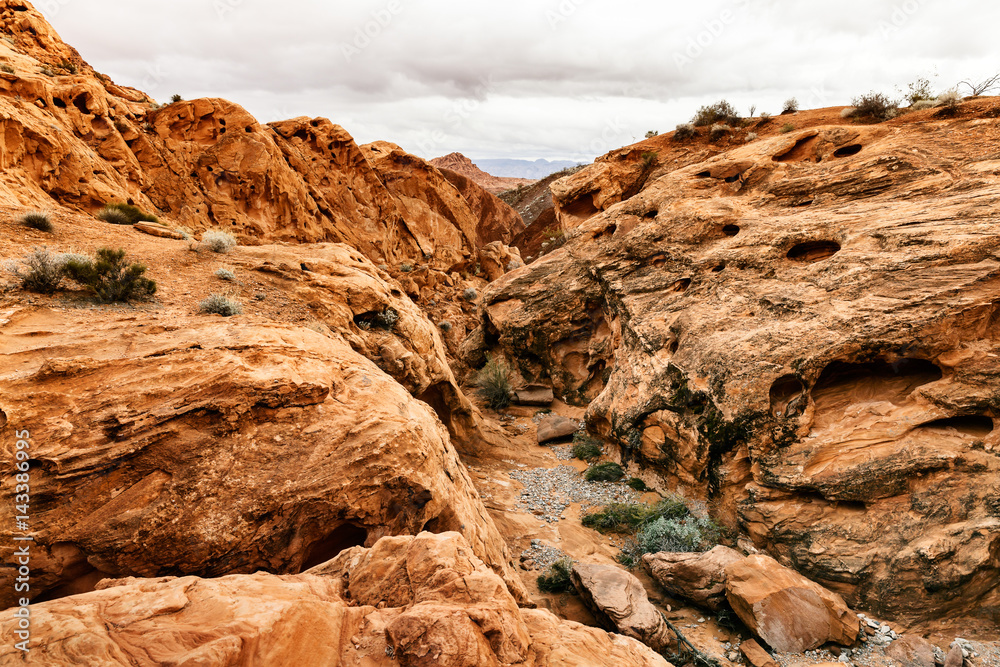 Landscape of scenic Desert at southern Nevada, USA