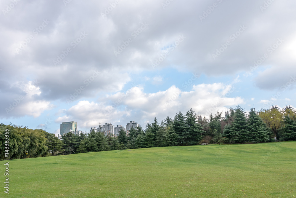 green meadow in central park with Shanghai cityscape in background.