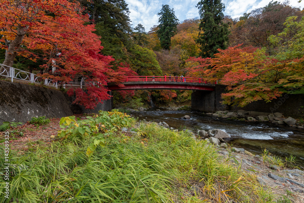Fudo stream in autumn season at Nakano momiji mountain, Kuroishi, Aomori, Japan.