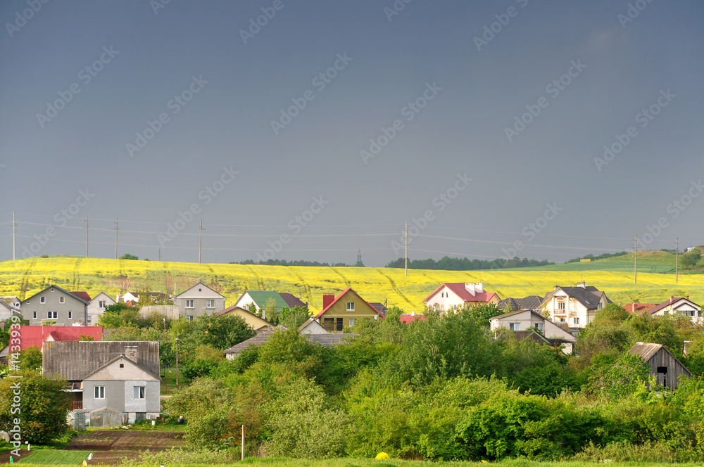 Blooming rapeseed yellow field and many private houses. Stormy sky in the background. Blooming rapeseed yellow field and many private houses. Stormy sky in the background.