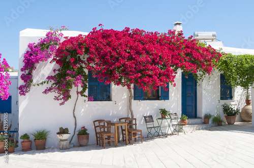 Fotografia Greek Terrace