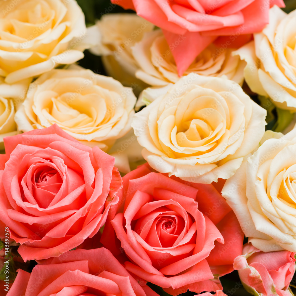 Floral background of bush roses. Copy space Floral background of bush roses. Copy space