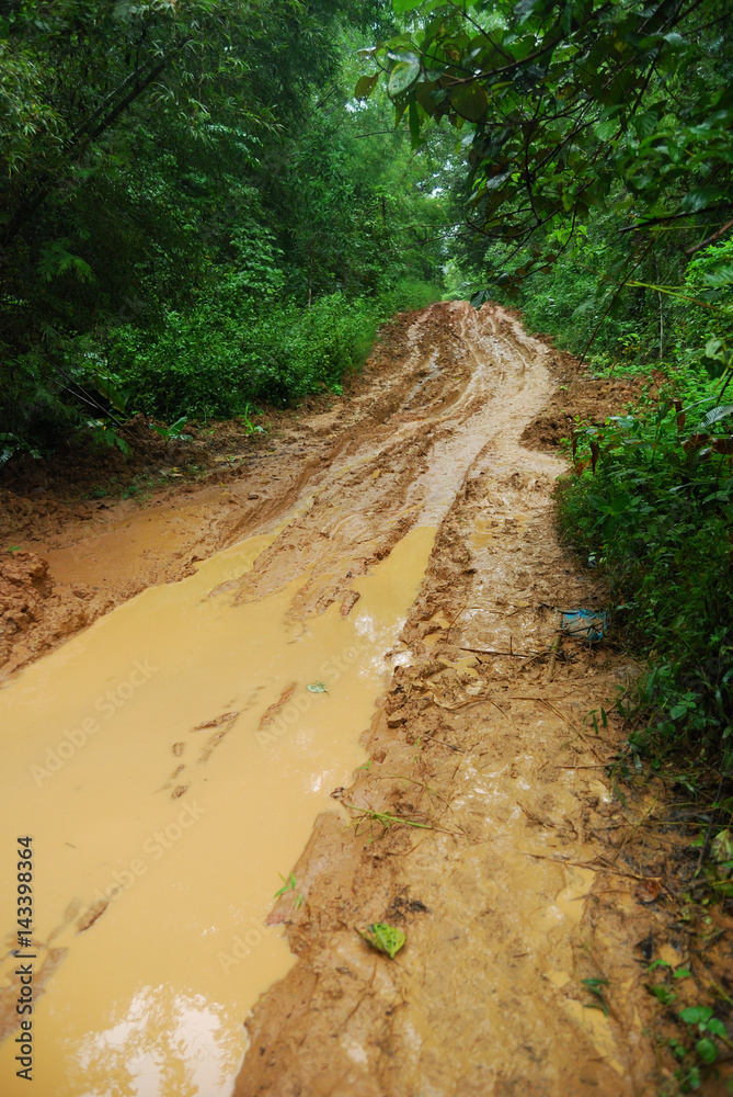 Obraz premium A muddy road to a great waterfall after raining in the forest No.2