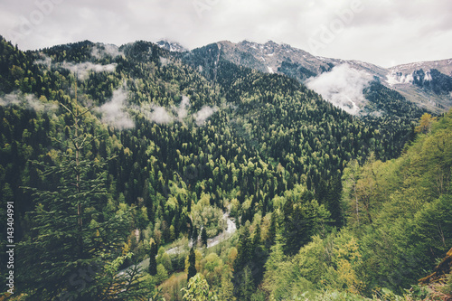 Forest Mountains and clouds Landscape Travel aerial view serene scenery wild nature calm summer atmospheric scene © EVERST