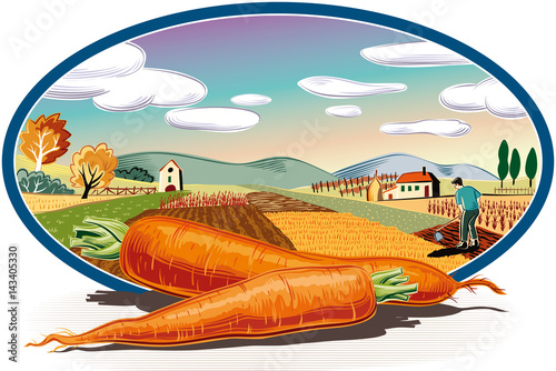 oval frame with agricultural landscape and two carrots.