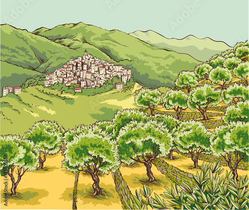 View of an olive grove in the hinterland of Liguria with village perched on the hill.