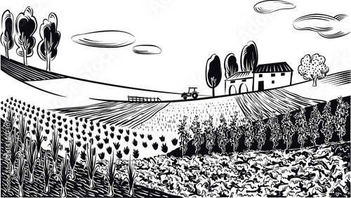 agricultural landscape, cultivated with various vegetables and grains.