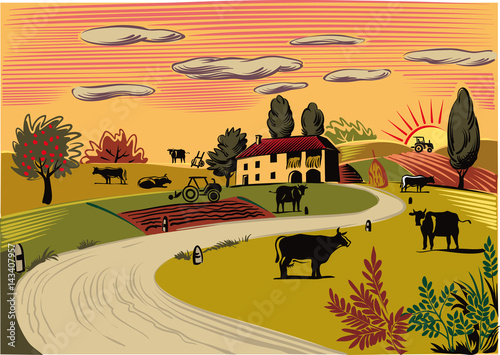 rural landscape with grazing cows