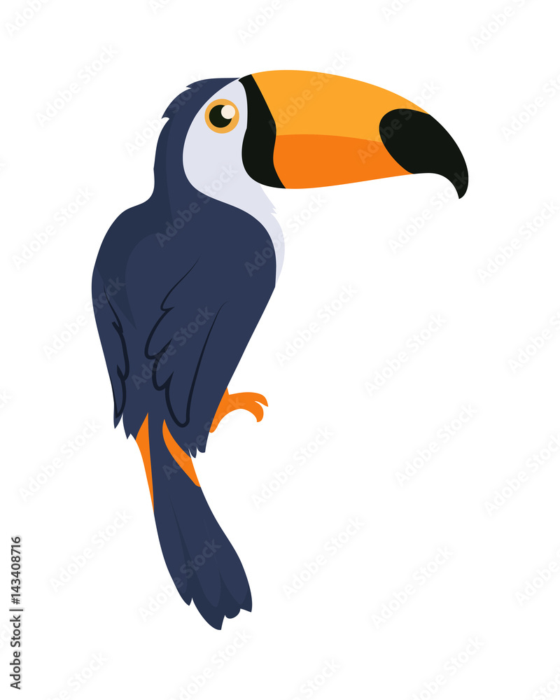 Obraz premium Toucan Bird Cartoon Icon in Flat Design