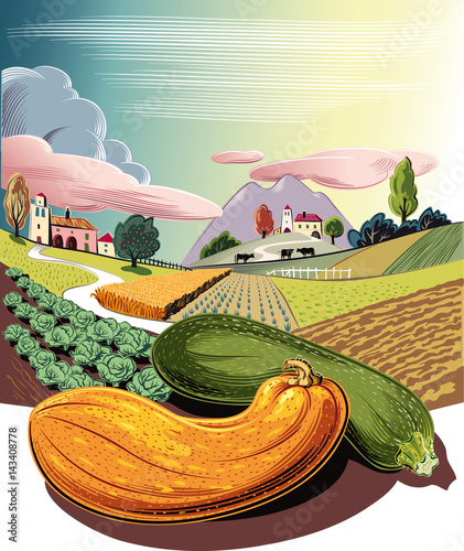 cultivated agricultural landscape, with ripe pumpkins.