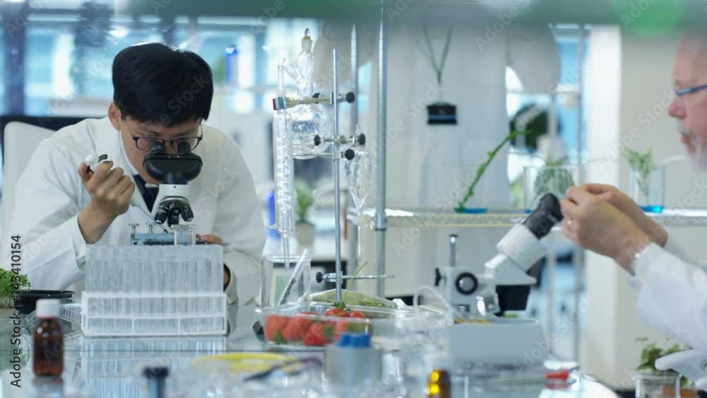 Food science research team working together in laboratory. Food science research team working together in laboratory.