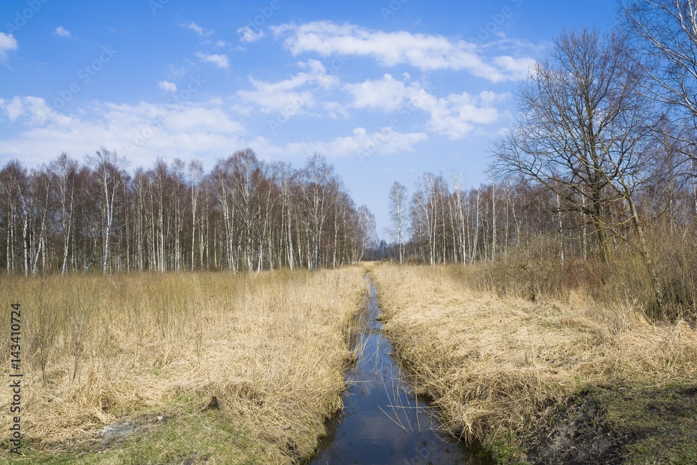 Narrow creek flowing through wild area of Mazury District in Wegorzewo, early spring, Poland Narrow creek flowing through wild area of Mazury District in Wegorzewo, early spring, Poland