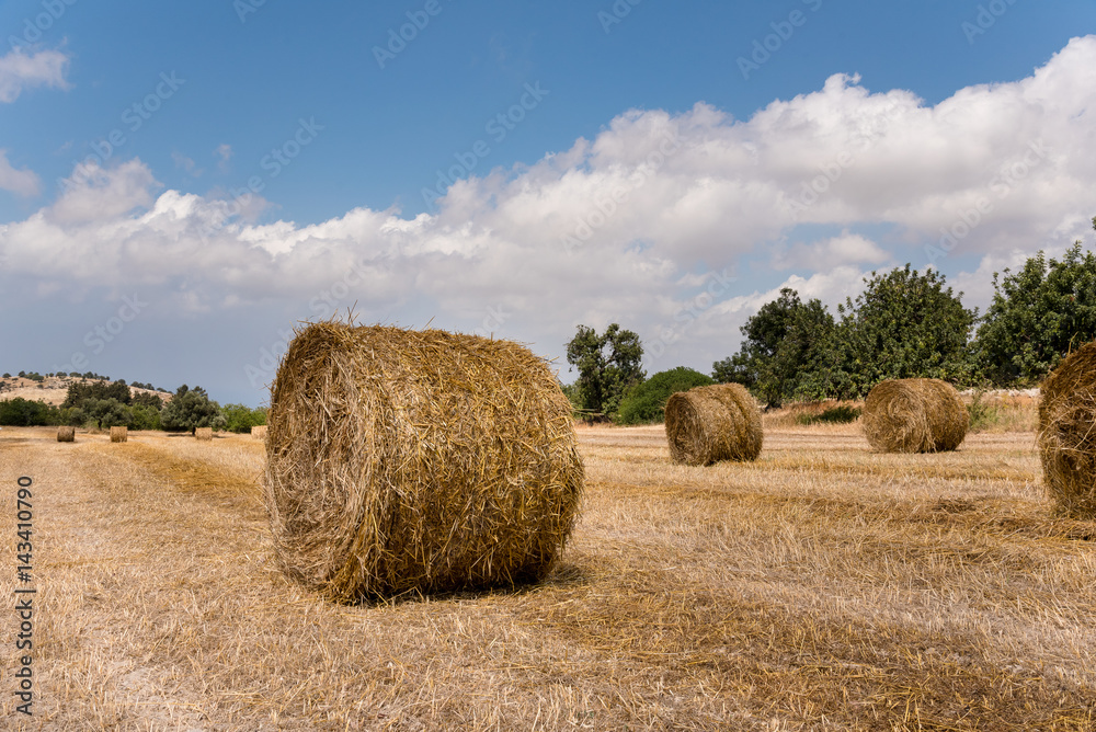 Straw Bales