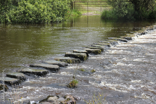 stepping stone in river