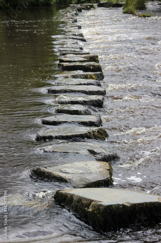 stepping stone in river