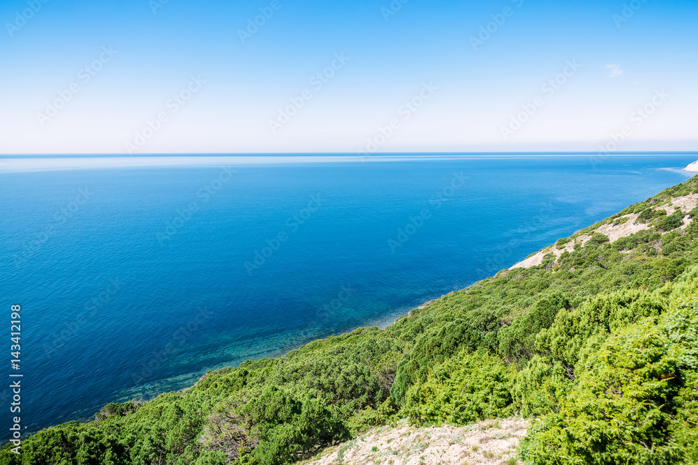 Blue sea and cliff with juniper in the Mediterranean. Summer day on sea