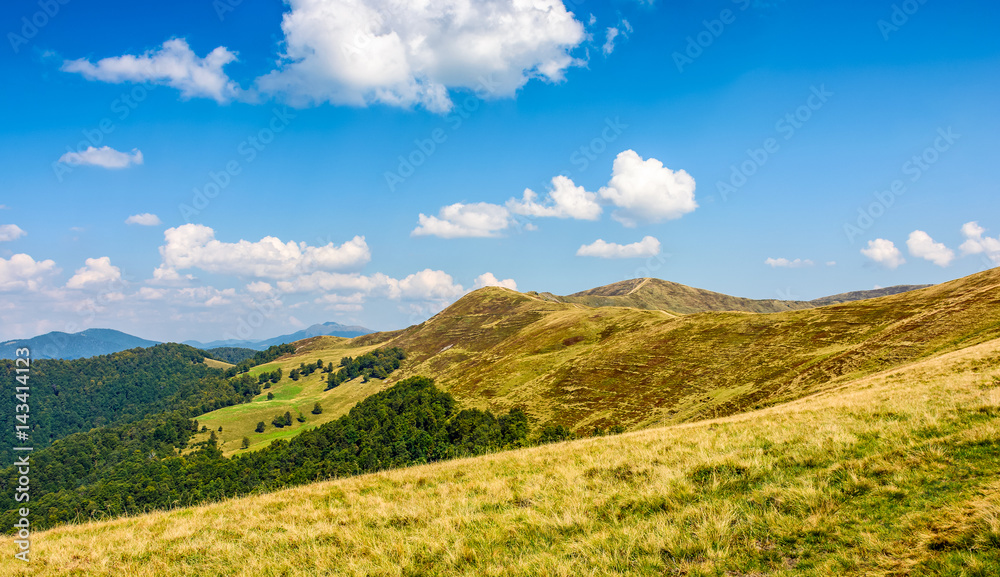 Carpathian Mountain Ridge in late summer