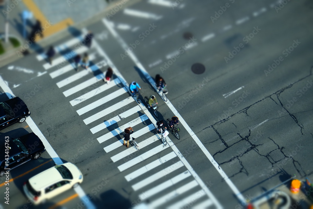 横断歩道
横断歩道