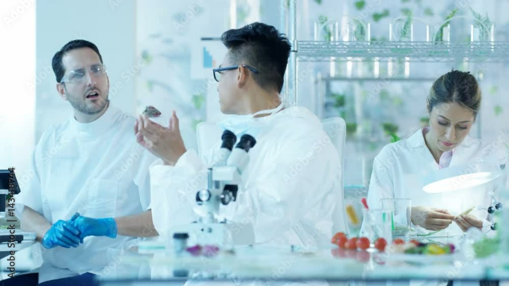 Research scientists analyzing foods in laboratory & discussing work Research scientists analyzing foods in laboratory & discussing work