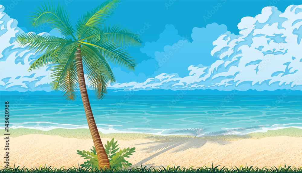 Seamless background with coast, ocean, palms