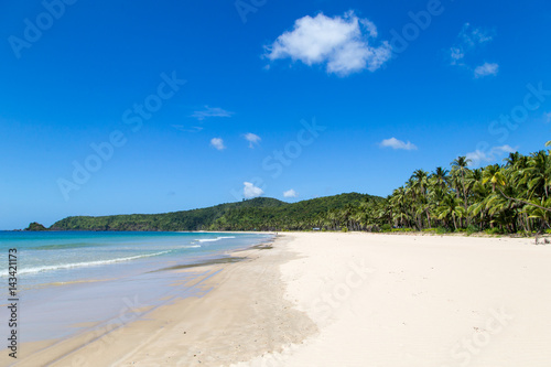 View of the beach and the sea with palm trees.